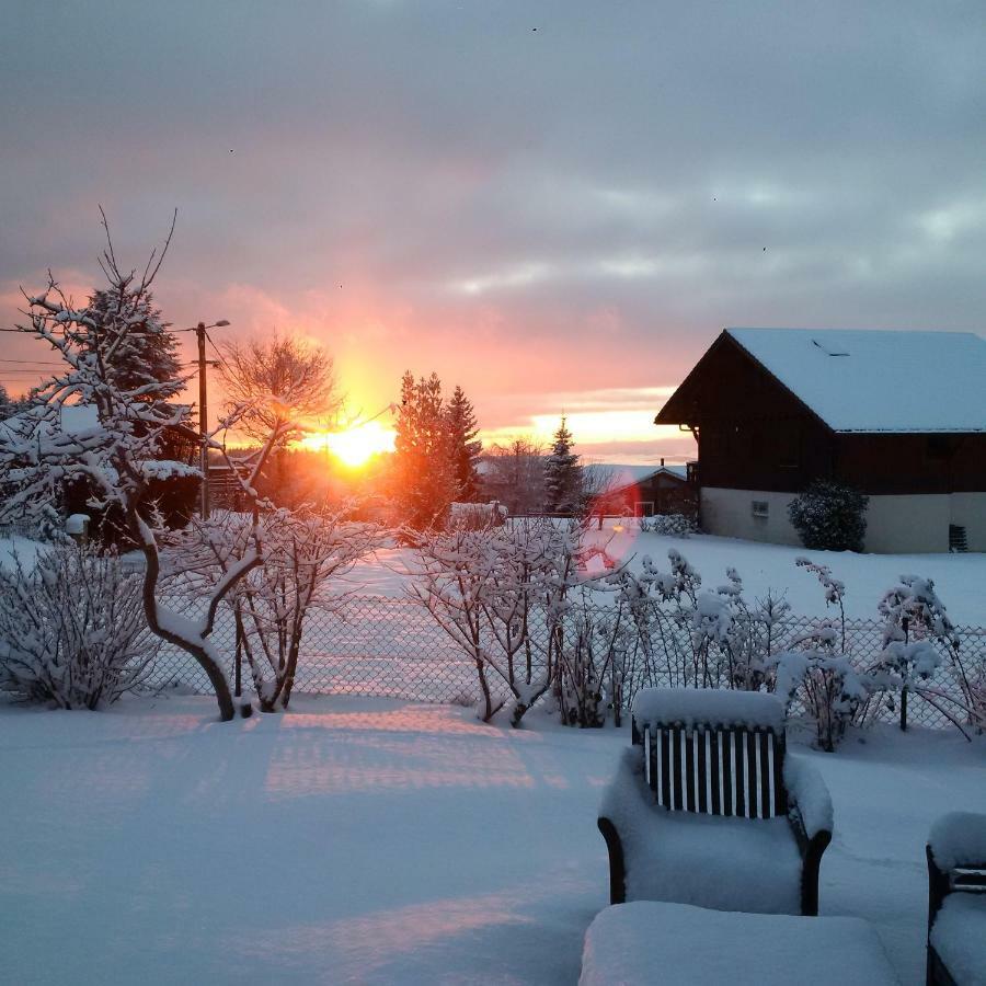 Chalet Les Aigles Saint-Sixt 外观 照片